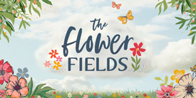 Sample Pack From The Flower Fields By Maureen Cracknell In Cotton For Agf