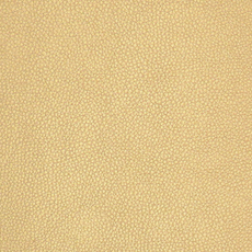 Gold Metallic Imitation Leather from Santiago by Modelo Fabrics