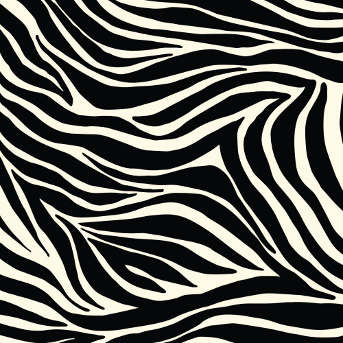 Zebra Stripes in Black & White from Zebras by Maria Galybina For Cloud9 Fabrics