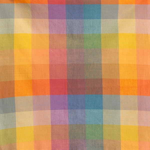 Bold Happy Checkers From Lumiere By Fableism (Avail Apr)