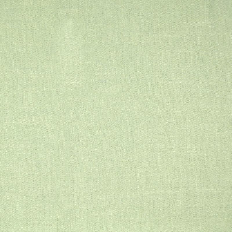 Mint Green Viscose Linen Slub from Bray by Modelo Fabrics