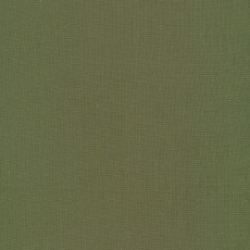 Olive From Cirrus Solids By Cloud9 Fabrics