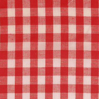 Red / White Yarn Dyed Medium Gingham Check from Kobenz by Modelo Fabrics
