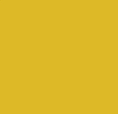 Empire Yellow From Pure Solids By AGF Studio