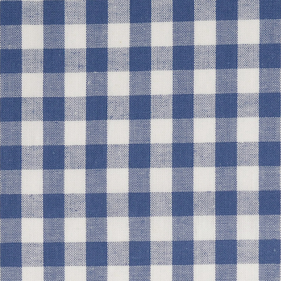 Royal Blue / White Yarn Dyed Medium Gingham Check from Kobenz by Modelo Fabrics