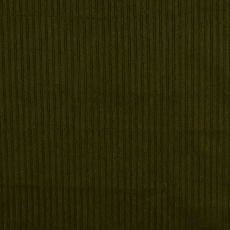 Forest Chunky Needlecord from Danbury by Modelo Fabrics