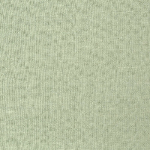 Soft Green Viscose Linen Slub From Bray By Modelo Fabrics