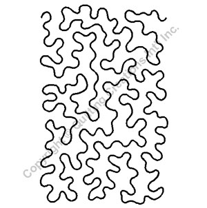 Stipple Quilting Stencil Size: 11 in or 29cm